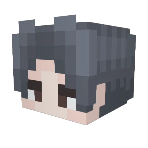 starryatlas Minecraft avatar head, 3D render