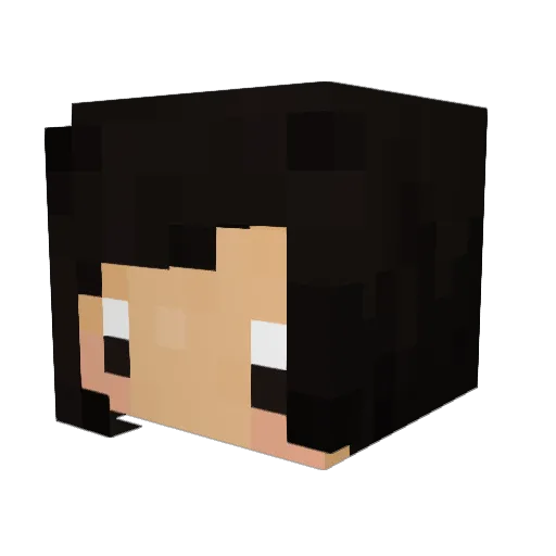 starrykat Minecraft avatar head, 3D render