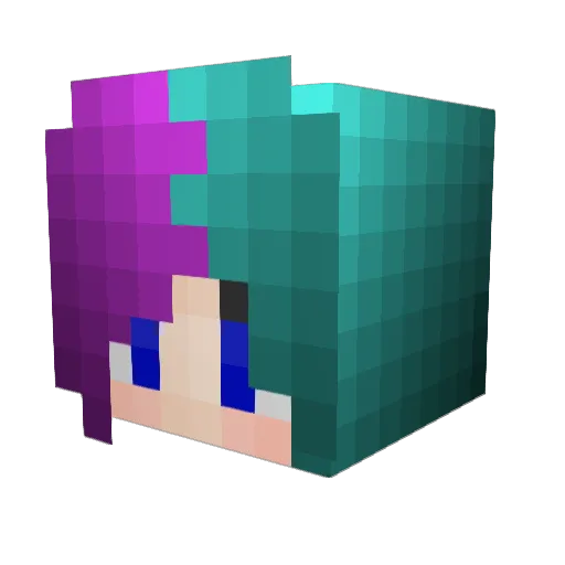 starrylizard Minecraft avatar head, 3D render