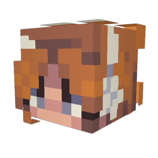 starrymack Minecraft avatar head, 3D render