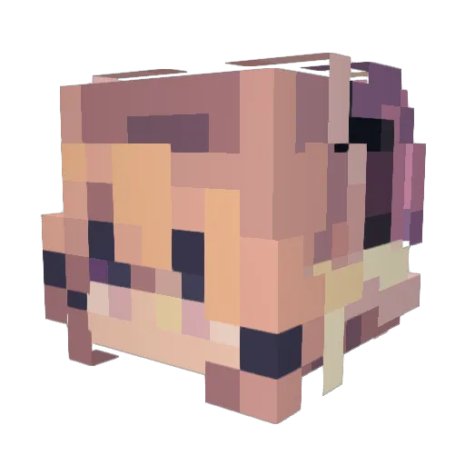 starrymoon2350 Minecraft avatar head, 3D render
