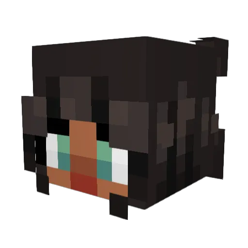 starrynight808 Minecraft avatar head, 3D render