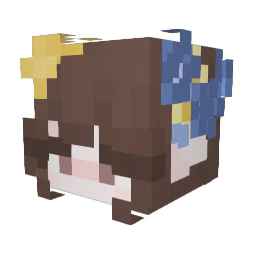 starryqore Minecraft avatar head, 3D render