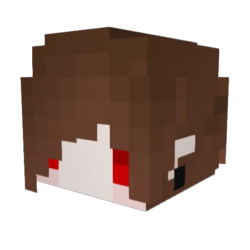 starrysky88 Minecraft avatar head, 3D render