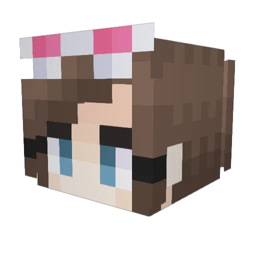 starryskye27 Minecraft avatar head, 3D render