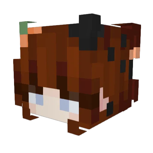 starrysophie Minecraft avatar head, 3D render