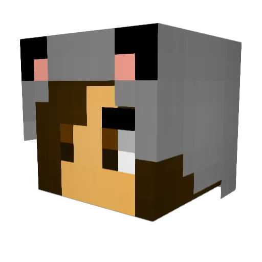 starrystrudel Minecraft avatar head, 3D render