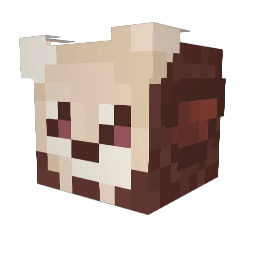 starrywhaleshark Minecraft avatar head, 3D render