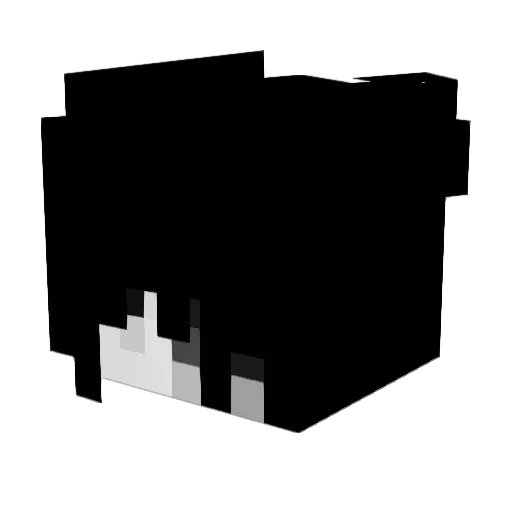 starshavereasons Minecraft avatar head, 3D render
