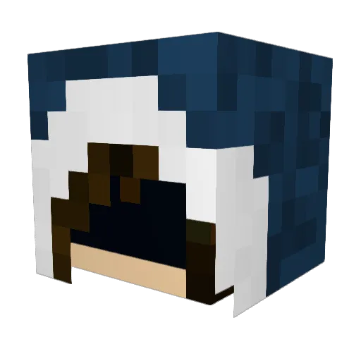starsick_ Minecraft avatar head, 3D render