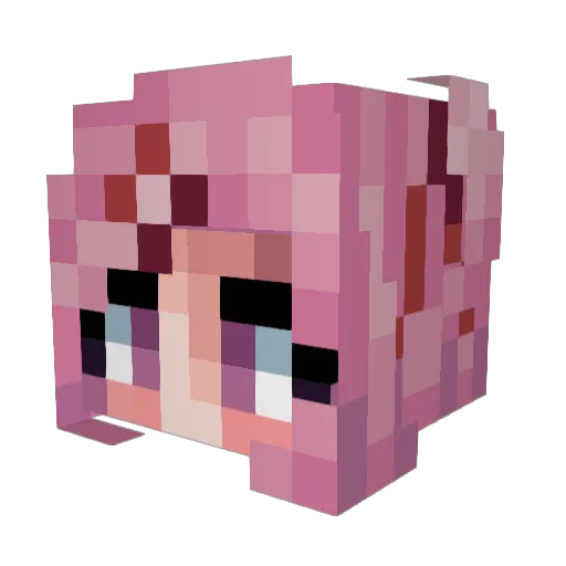 starsnips505 Minecraft avatar head, 3D render