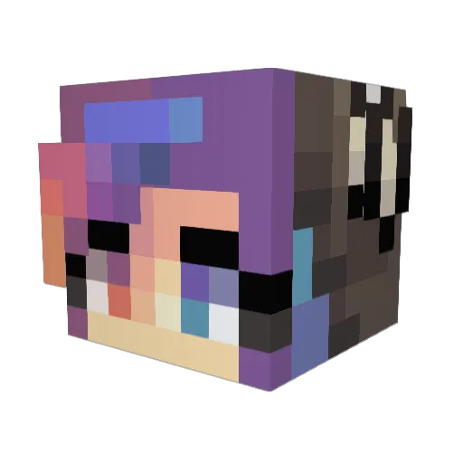 starstolen Minecraft avatar head, 3D render