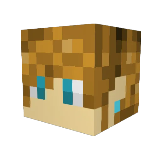 start9 Minecraft avatar head, 3D render