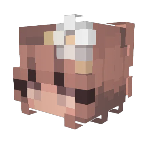 startastic_314 Minecraft avatar head, 3D render