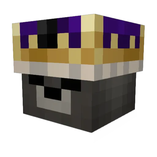 starterjoon Minecraft avatar head, 3D render