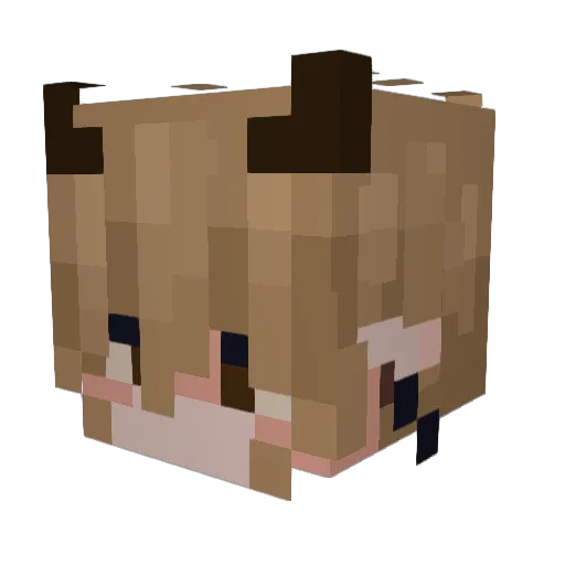 startian Minecraft avatar head, 3D render