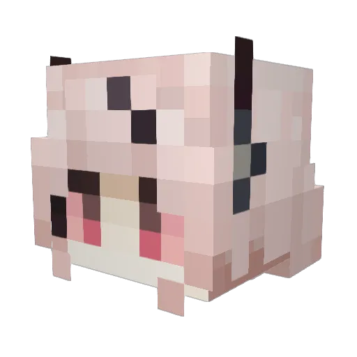 startnake Minecraft avatar head, 3D render