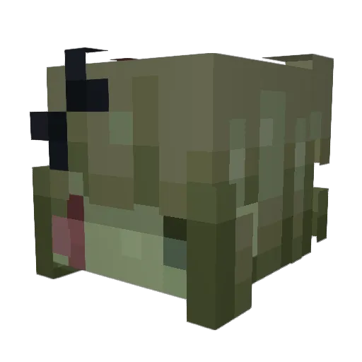starvingneopet Minecraft avatar head, 3D render