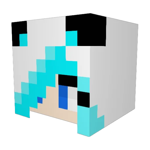 starwarrior789 Minecraft avatar head, 3D render