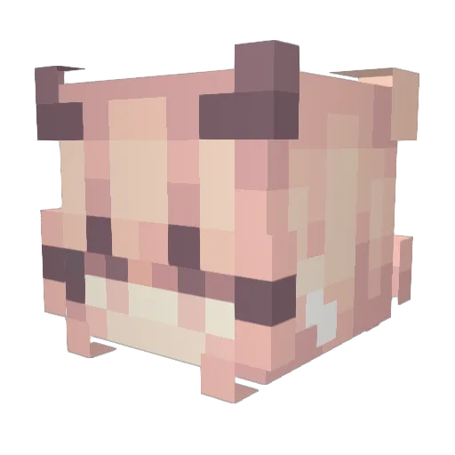 starwolf20 Minecraft avatar head, 3D render