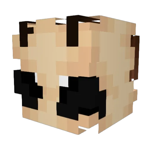 staticm0th_ Minecraft avatar head, 3D render