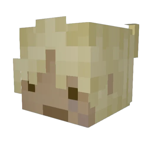 statvesque Minecraft avatar head, 3D render