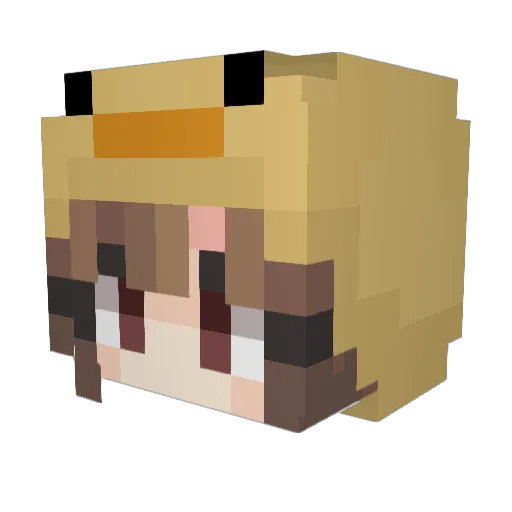 stayrainy Minecraft avatar head, 3D render