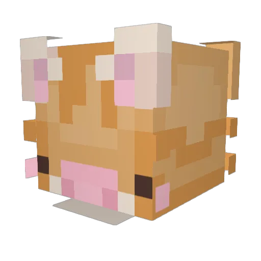 stbz502 Minecraft avatar head, 3D render