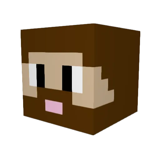 stcxd09 Minecraft avatar head, 3D render