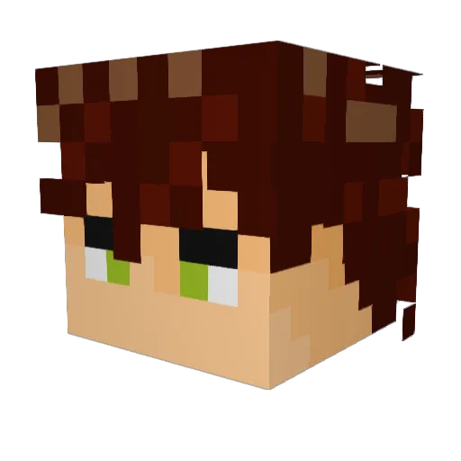 steadymanx Minecraft avatar head, 3D render
