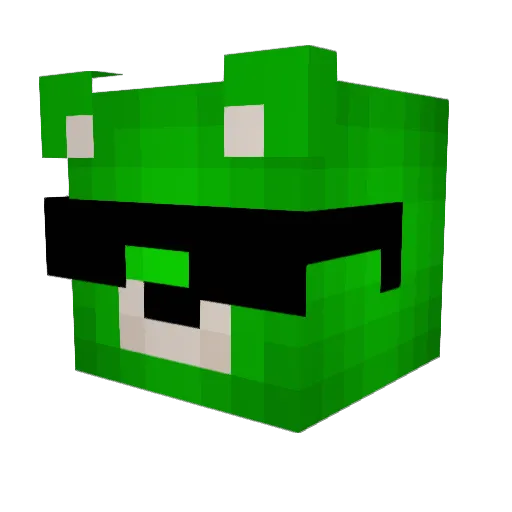 steak_n_bacon Minecraft avatar head, 3D render