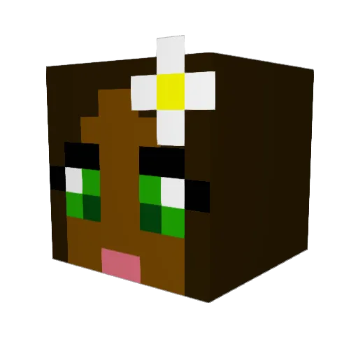 steakboyjeff Minecraft avatar head, 3D render