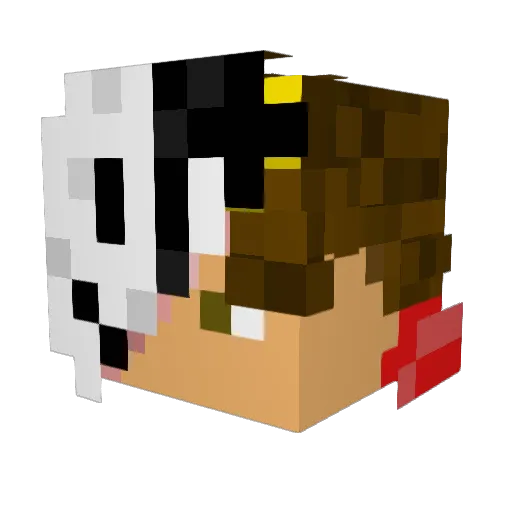 steal_yo_ho Minecraft avatar head, 3D render