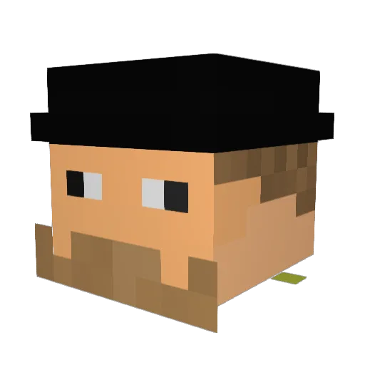 stealth406 Minecraft avatar head, 3D render