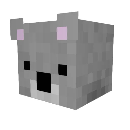 stealth_koala21 Minecraft avatar head, 3D render
