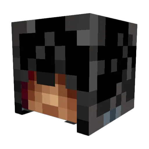 stealthhunter24 Minecraft avatar head, 3D render