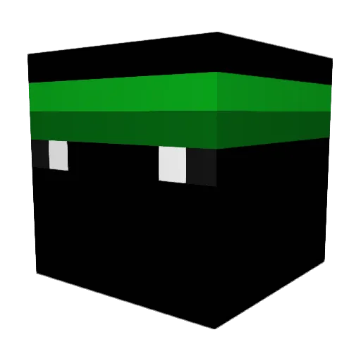 stealthoeli Minecraft avatar head, 3D render