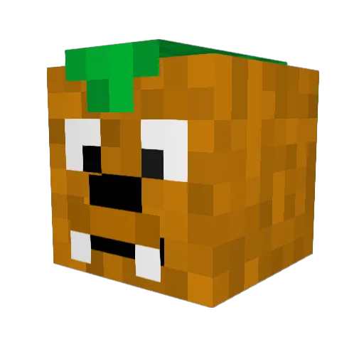 stealthpanda1 Minecraft avatar head, 3D render