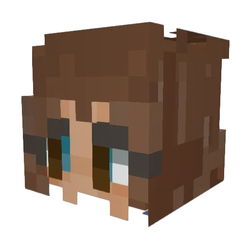 stealthy147 Minecraft avatar head, 3D render