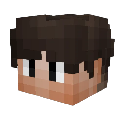 stealthzyy Minecraft avatar head, 3D render