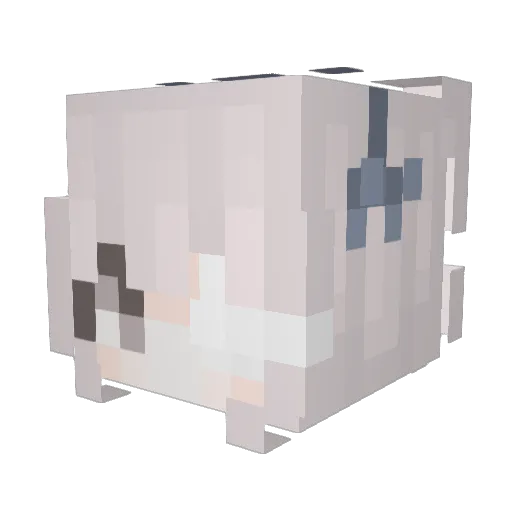 steamedbunz3 Minecraft avatar head, 3D render
