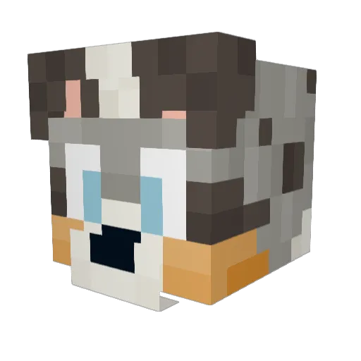 steaqwq Minecraft avatar head, 3D render