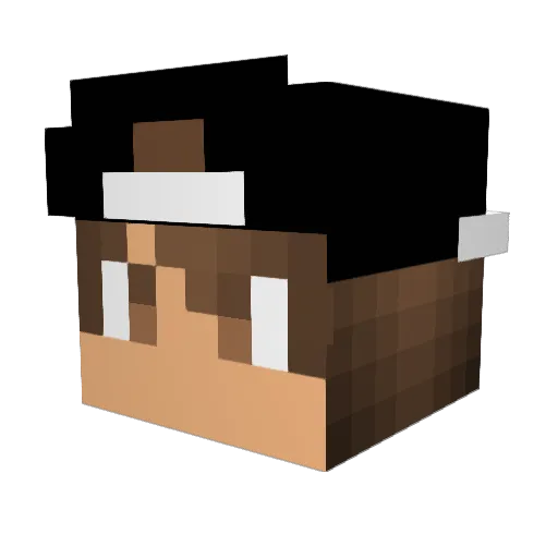 stedie421 Minecraft avatar head, 3D render