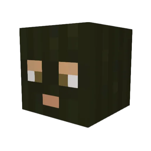 stee5y Minecraft avatar head, 3D render