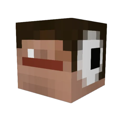 stee_vo Minecraft avatar head, 3D render