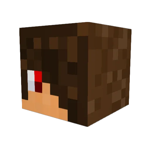 steedwig Minecraft avatar head, 3D render