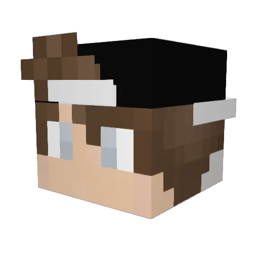 steef2002 Minecraft avatar head, 3D render