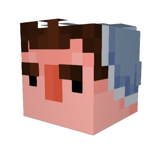 steefaann Minecraft avatar head, 3D render