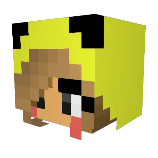 steefy Minecraft avatar head, 3D render