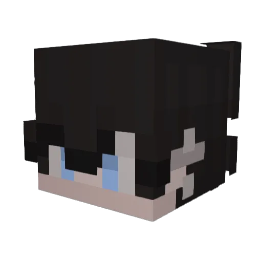 steelydanenjoyer Minecraft avatar head, 3D render